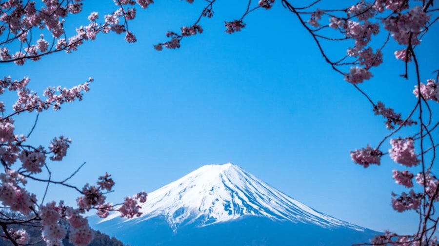 From Tokyo:Mount Fuji Private Customizable Tour With English - Key points at a glance