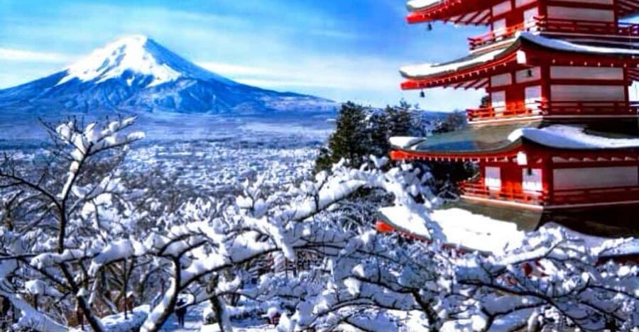 From Tokyo:Mount Fuji Private Customizable Tour With English - Chureito Pagoda and the famous layered view