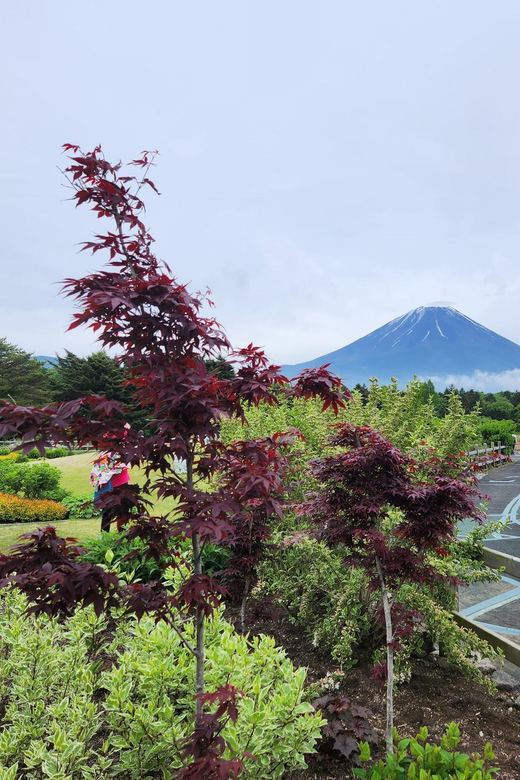 From Tokyo:Mount Fuji Private Customizable Tour With English - Hakone’s ropeway, volcanic valley, and Lake Ashi