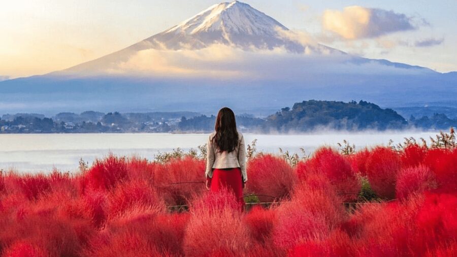 From Tokyo:Mount Fuji Private Customizable Tour With English - Mt. Fuji 5th Station and the first big view