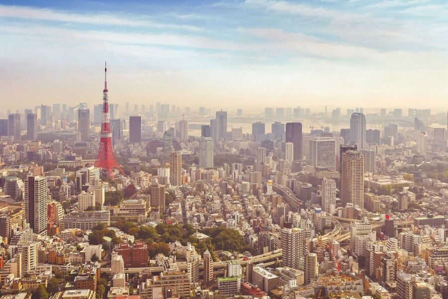 From Tokyo: Mount Fuji Private Day Tour - Key points at a glance