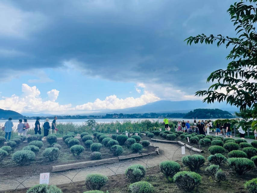 From Tokyo : Mount Fuji Private Day Tour with English Driver - Why a private car makes Mount Fuji easier