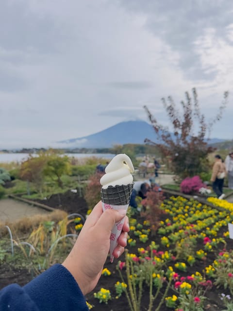 From Tokyo : Mount Fuji Private Day Tour with English Driver - Chureito Pagoda and Arakurayama Sengen Park