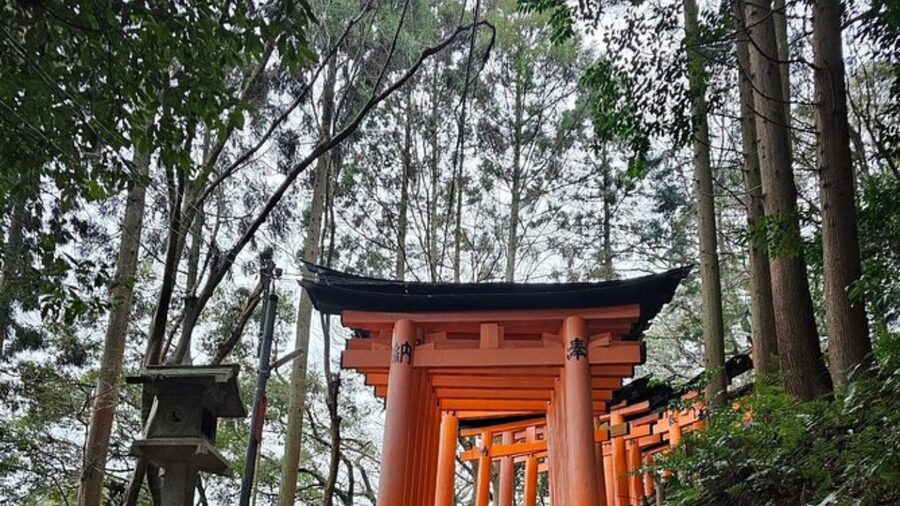 From Tokyo : Mount Fuji Private Day Tour with English Driver - Saiko Iyashi-no-Sato Nenba and the western lake area