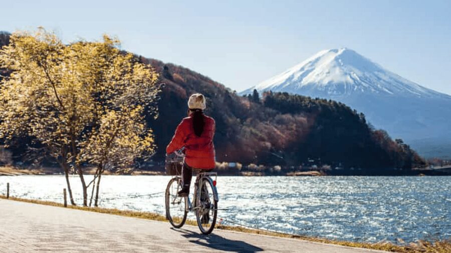 From Tokyo: Mount Fuji Private Day Tour With English Driver - Chureito Pagoda and the classic Fuji photograph