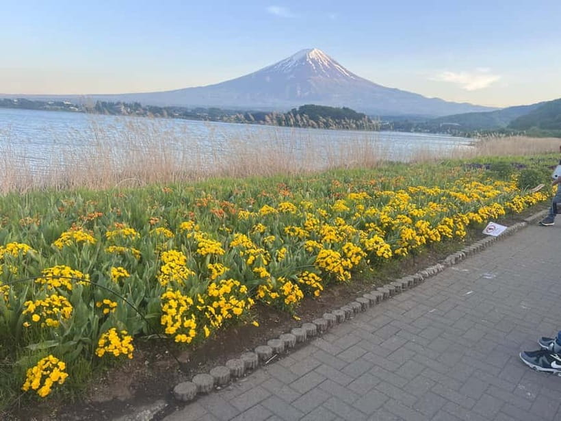 From Tokyo: Mount Fuji Private Tour with a Driver/Guide - Key points to know before you book