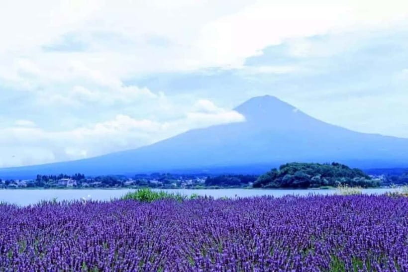 From Tokyo: Mt. Fuji 5th station and Oshino Hakkai Day Trip - Lake Kawaguchi and the panoramic ropeway