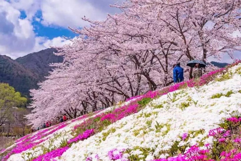 From Tokyo: Mt. Fuji 5th station and Oshino Hakkai Day Trip - What the guides add to the day