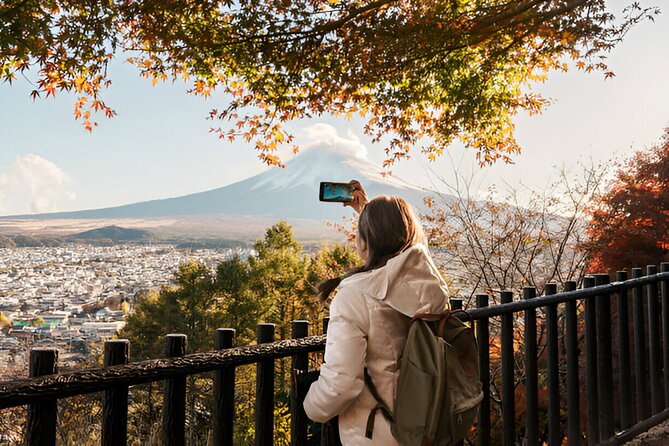 From Tokyo: Mt Fuji and Hakone Private Day Trip - What this Tokyo day trip really offers