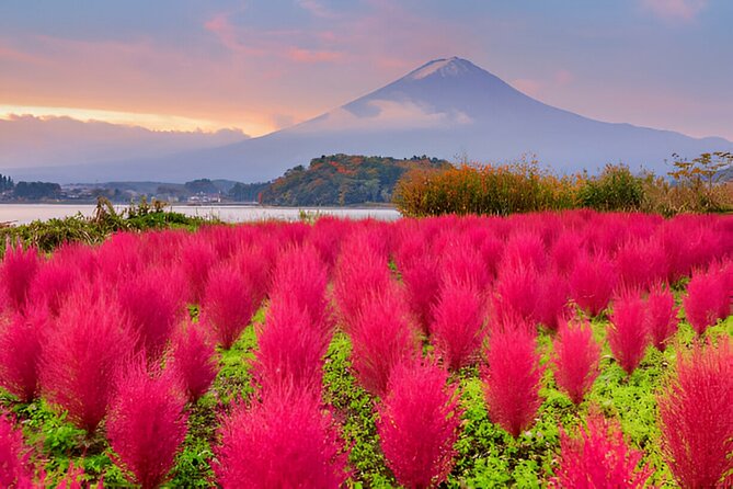 From Tokyo: Mt Fuji and Hakone Private Day Trip - Hakone Shrine offers a calm lakeside pause