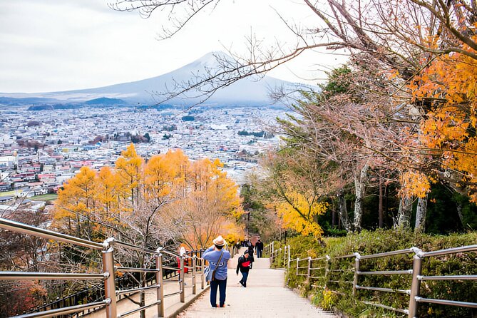 From Tokyo: Mt Fuji and Hakone Private Day Trip - The ropeway and Lake Ashi cruise depend on conditions