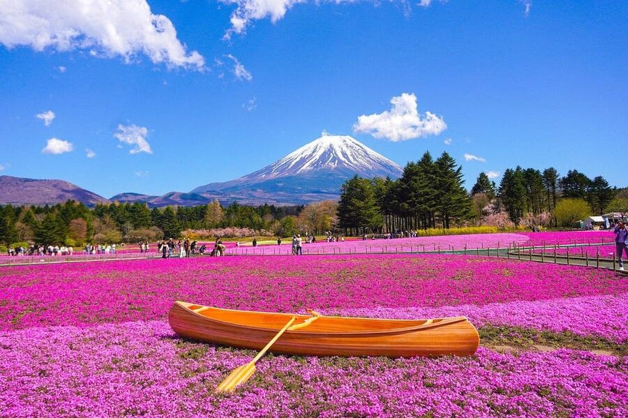From Tokyo: Mt. Fuji And Hakone Private Sightseeing Day Trip - Oishi Park and Fuji’s seasonal color