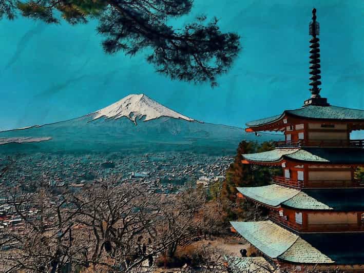 From Tokyo: Mt. Fuji And Hakone Private Sightseeing Day Trip - What the private format is really worth