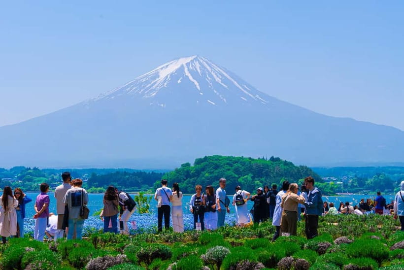 From Tokyo: Mt Fuji, Arakurayama and Kawaguchi Lake Day Trip - Oshino Hakkai, springs and local snacks