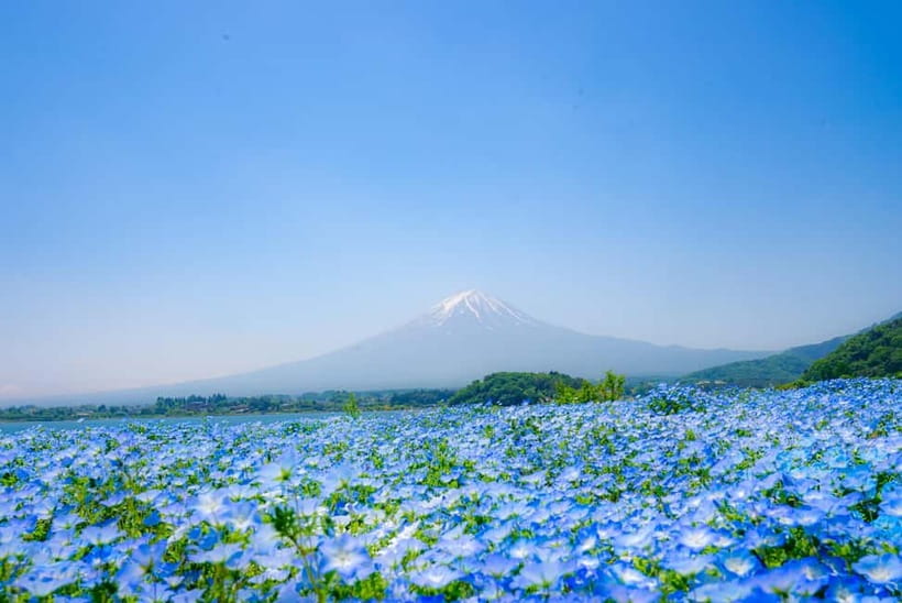 From Tokyo: Mt Fuji, Arakurayama and Kawaguchi Lake Day Trip - The guide can shape the day