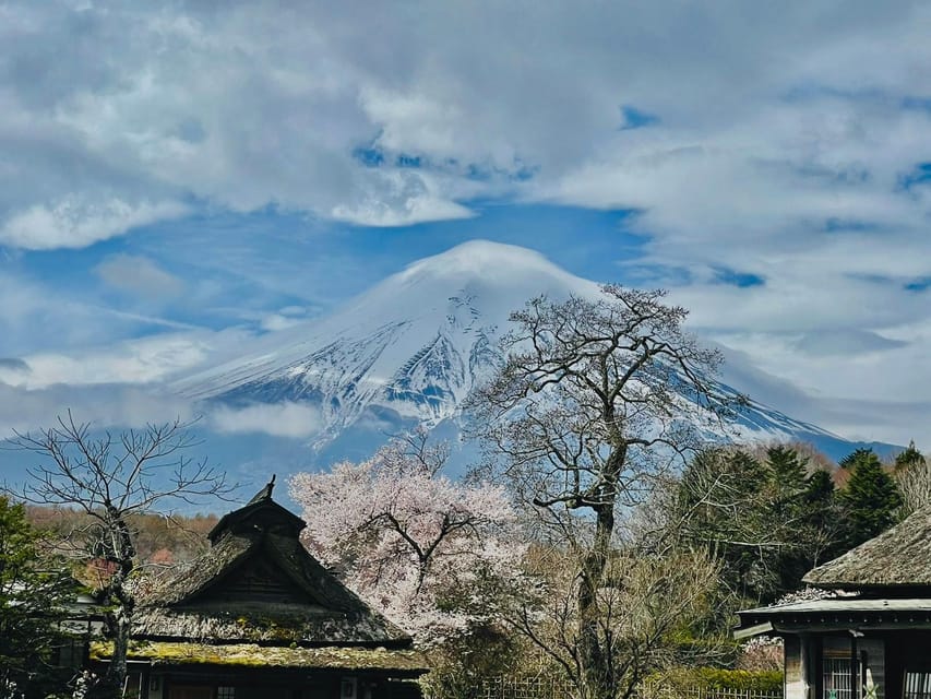 From Tokyo: Mt. Fuji Customizable Full day private Tour - Why a private vehicle makes Fuji easier