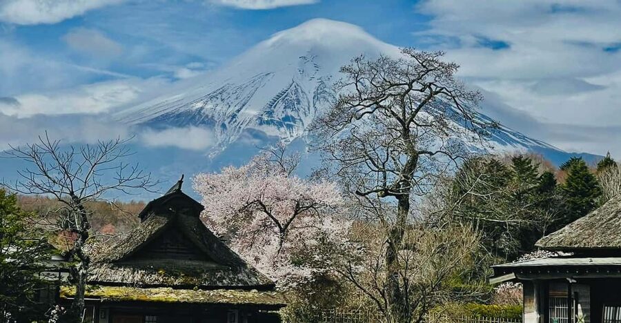 From Tokyo: Mt. Fuji Customizable Full day private Tour - Lake Kawaguchi and Oishi Park: the classic Fuji postcard