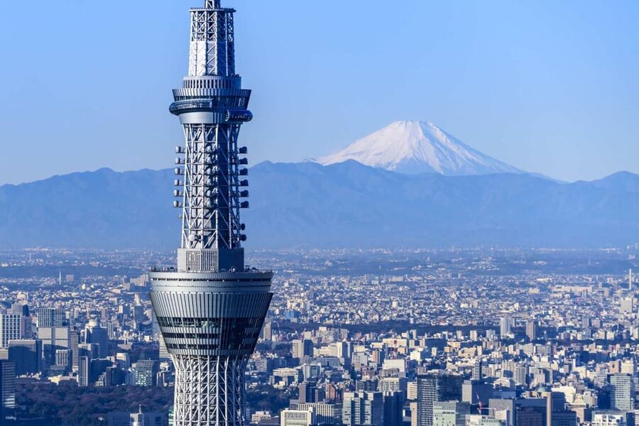 From Tokyo: Mt. Fuji Customizable Full day private Tour - Mt. Fuji 5th Station: the high starting point