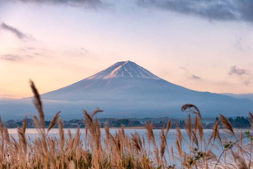 From Tokyo: Mt.Fuji & Gotemba Outlets Private Day Trip - Oishi Park beside Lake Kawaguchi