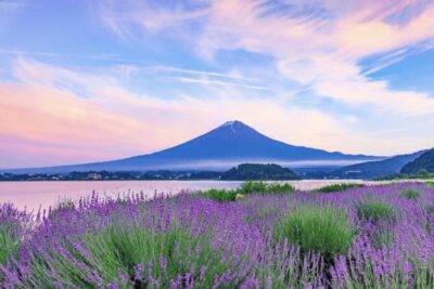 From Tokyo: Mt. Fuji, Hakone, Owakudani & Lake Ashi Bus Tour
