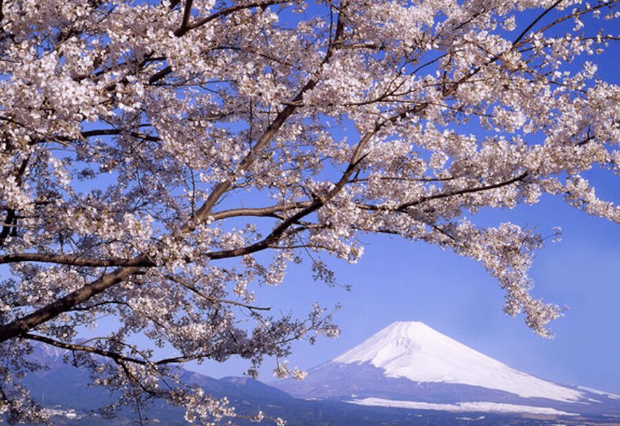 From Tokyo: Mt. Fuji, Hakone, Owakudani & Lake Ashi Bus Tour - Riding the Hakone Ropeway