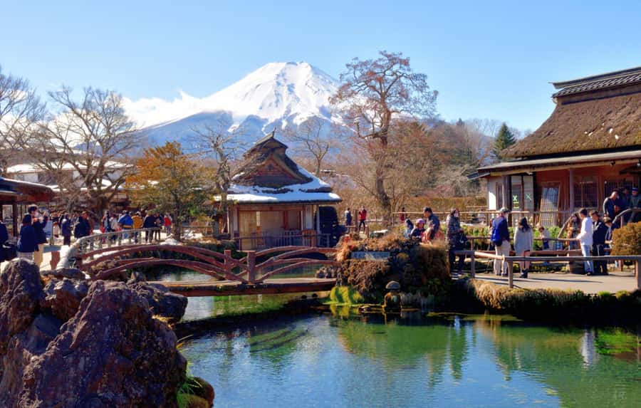 From Tokyo: Mt. Fuji & Hakone Private Day Tour (Low Price) - Chureito Pagoda and the famous Fuji view