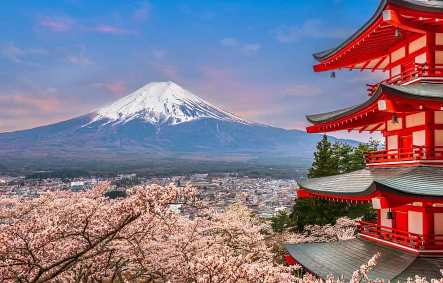 From Tokyo: Mt. Fuji & Hakone Private Day Tour (Low Price) - Oishi Park and the flower seasons