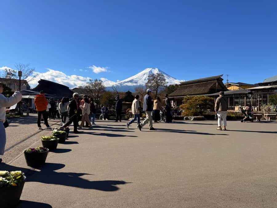 From Tokyo: Mt. Fuji & Hakone Private Day Tour (Low Price) - Hakone Ropeway and Owakudani Valley