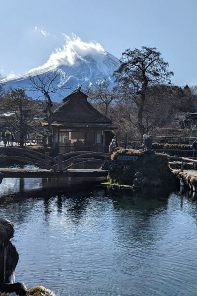 From Tokyo: Mt. Fuji & Hakone Tour w/ Return by Bullet Train