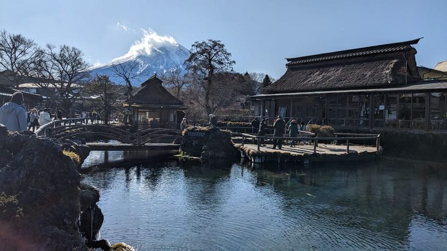 From Tokyo: Mt. Fuji & Hakone Tour w/ Return by Bullet Train - Riding the Hakone Ropeway above Owakudani