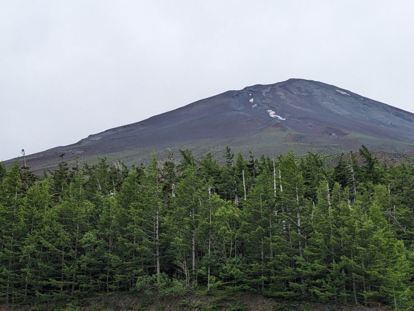 From Tokyo: Mt. Fuji & Hakone Tour w/ Return by Bullet Train - Lake Ashi and the ornate pirate ship