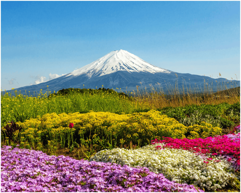 From Tokyo: Mt.Fuji, Lake Kawaguchi, Oshino Hakkai Day Tour - Oishi Park and the Lake Kawaguchi views