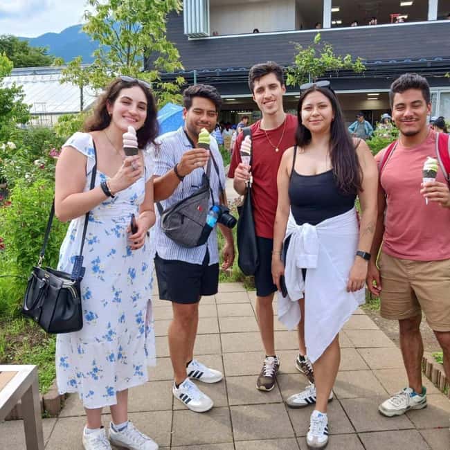 From Tokyo: Mt Fuji Private Day Tour In Luxury Land Cruiser - Hakone, the ropeway, and an itinerary warning