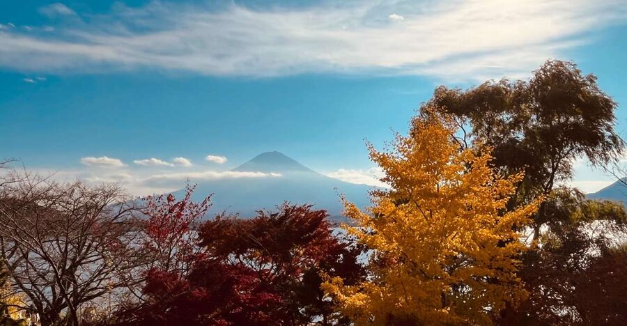 From Tokyo: Mt.Fuji, Tea Ceremony & Outlet Shopping Day Tour - Why this Mt. Fuji day tour works well from Tokyo