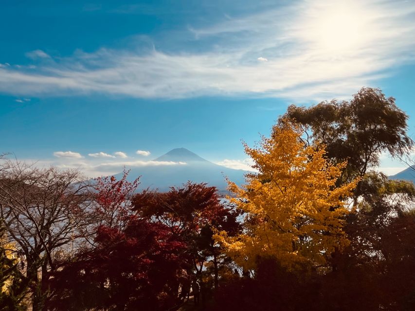 From Tokyo: Mt.Fuji, Tea Ceremony & Outlet Shopping Day Tour - Arakurayama Sengen Park and the famous pagoda view