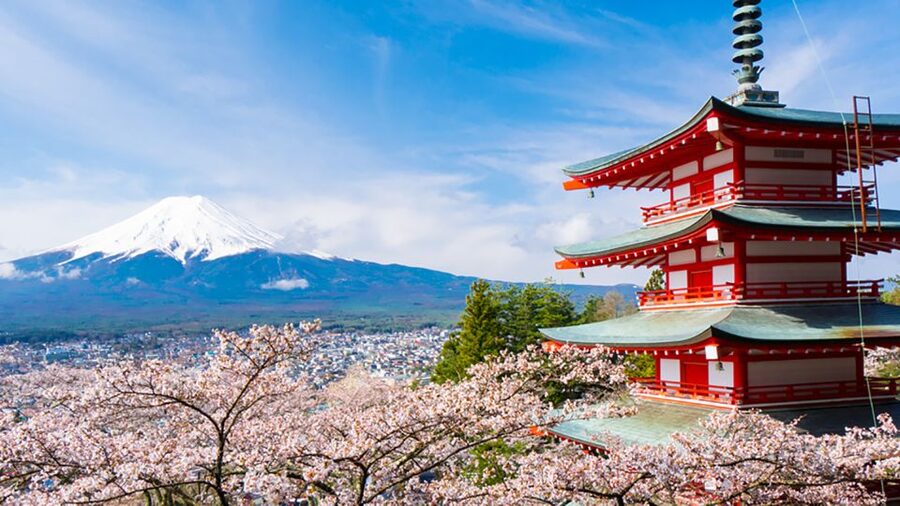 From Tokyo: Mt.Fuji, Tea Ceremony & Outlet Shopping Day Tour - Should you book this Mt. Fuji tour?