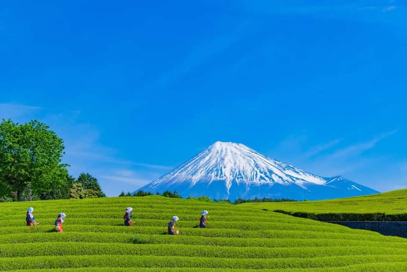 From Tokyo: Must-Visit Mount Fuji Highlight Full-Day Tour - Oshino Hakkai’s clear spring ponds