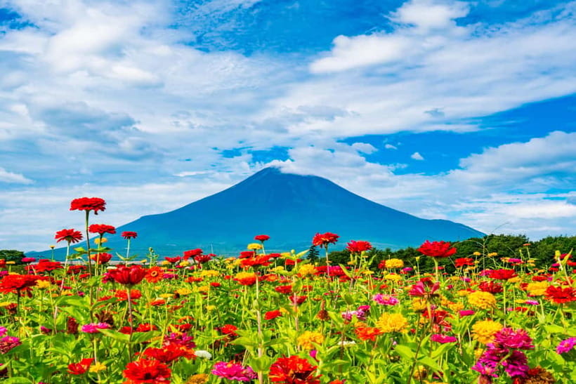 From Tokyo: Must-Visit Mount Fuji Highlight Full-Day Tour - Fuji Museum or matcha break