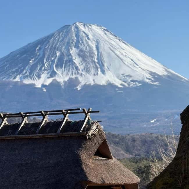 From Tokyo Private Mount Fuji & Hakone Day Trip With Pick Up - One long day from Tokyo to Fuji and Hakone