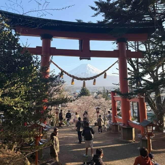 From Tokyo Private Mount Fuji & Hakone Day Trip With Pick Up - The Hakone Ropeway adds a different view
