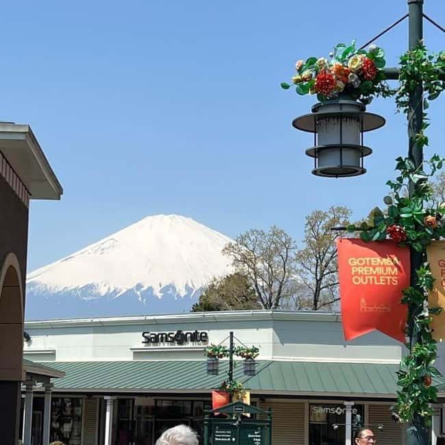 From Tokyo Private Mount Fuji & Hakone Day Trip With Pick Up - What private transport is worth for six people