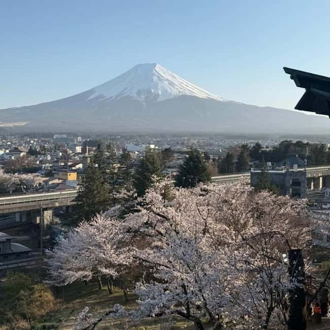 From Tokyo Private Mount Fuji & Hakone Day Trip With Pick Up - What is not included in the $340