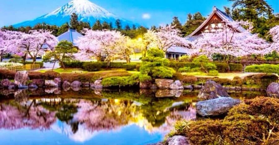 From Tokyo:private Mount Fuji tour with guide - Key points at a glance
