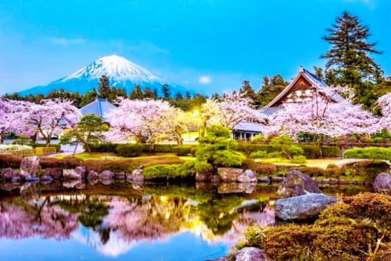From Tokyo:private Mount Fuji tour with guide - Why a private Fuji day can make sense
