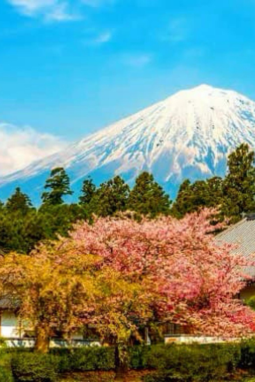 From Tokyo:private Mount Fuji tour with guide - Oshino Hakkai’s ponds and old-style village