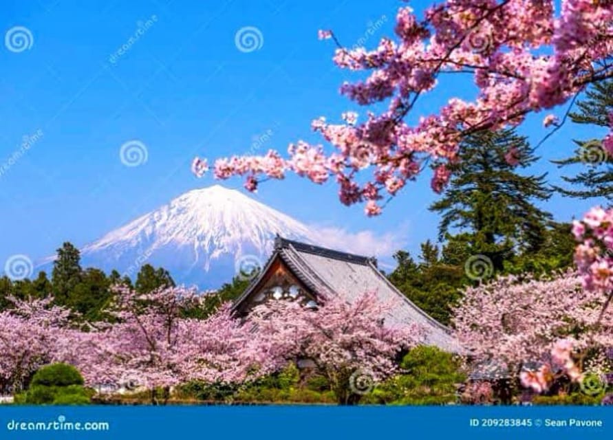 From Tokyo:private Mount Fuji tour with guide - Choosing the Hakone route