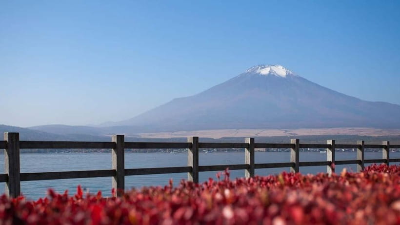 From Tokyo: Private Mt. Fuji and Hakone Tour by Car - Lake Kawaguchiko and Oishi Park