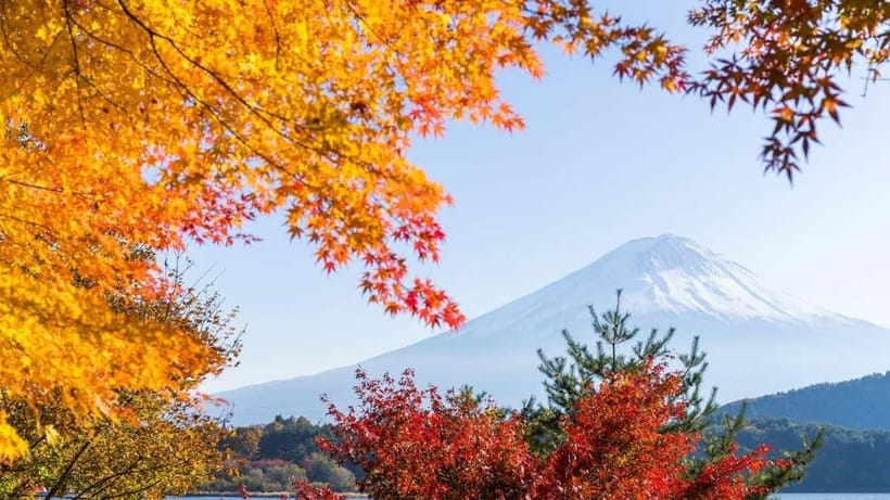 From Tokyo: Private Mt. Fuji and Hakone Tour by Car - Kachi Kachi Ropeway: a quick ride above the lake