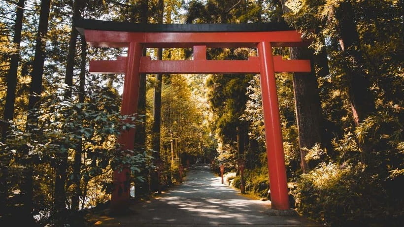 From Tokyo: Private Mt. Fuji and Hakone Tour by Car - What $472 means for a group of four