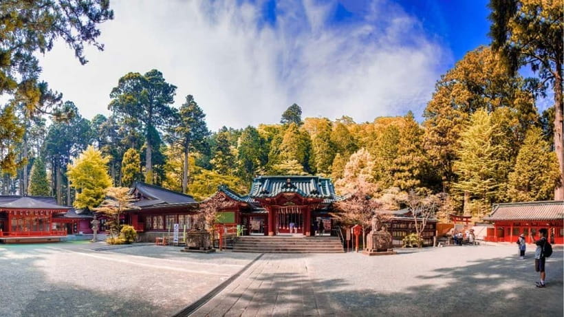 From Tokyo: Private Mt. Fuji and Hakone Tour by Car - The driver makes or breaks the day